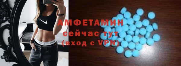 сатива Балахна