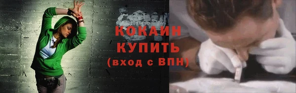 шишки Балабаново