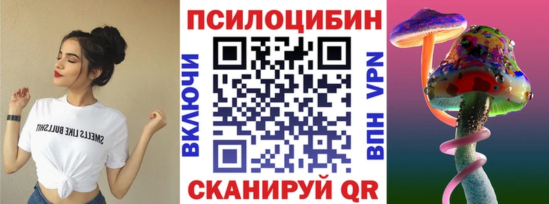наркота  Нерюнгри  Галлюциногенные грибы Psilocybine cubensis 