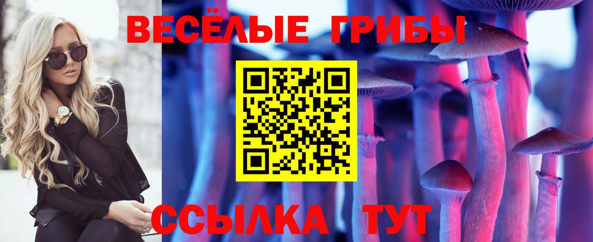 Галлюциногенные грибы GOLDEN TEACHER Нерюнгри